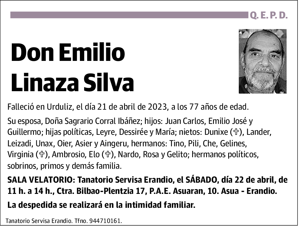 Emilio Linaza Silva