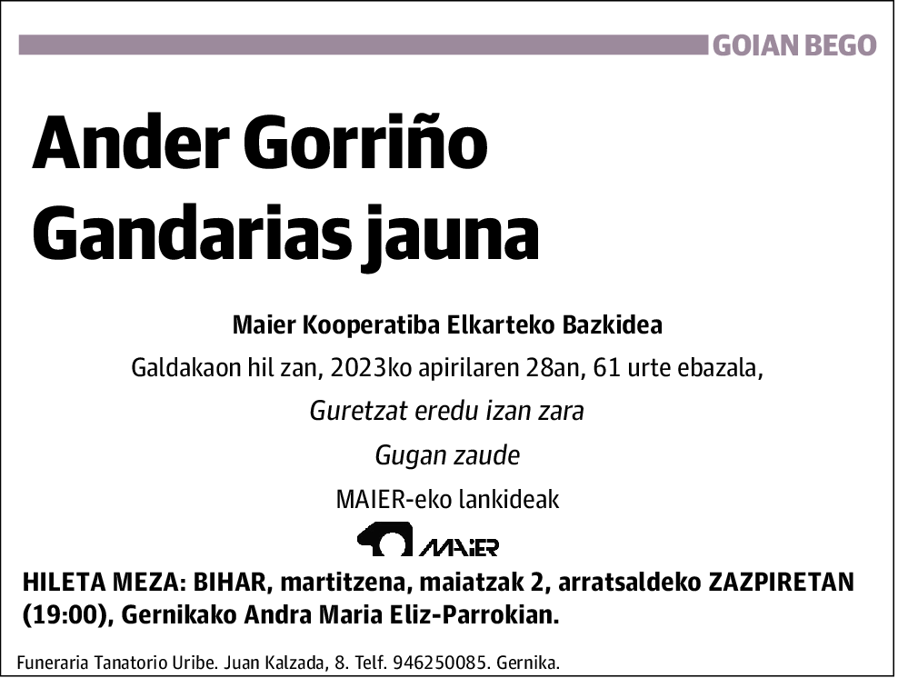 Ander Gorriño Gandarias