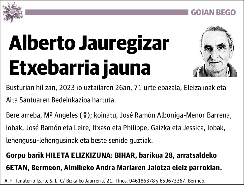 Alberto Jauregizar Etxebarria