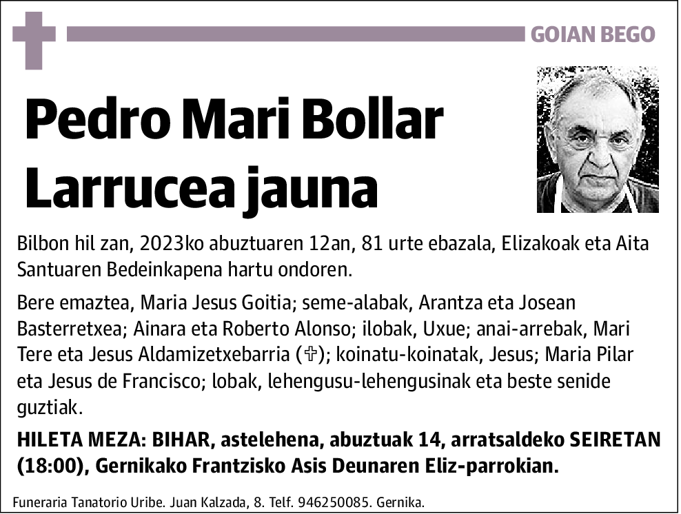 Pedro Mari Bollar Larrucea