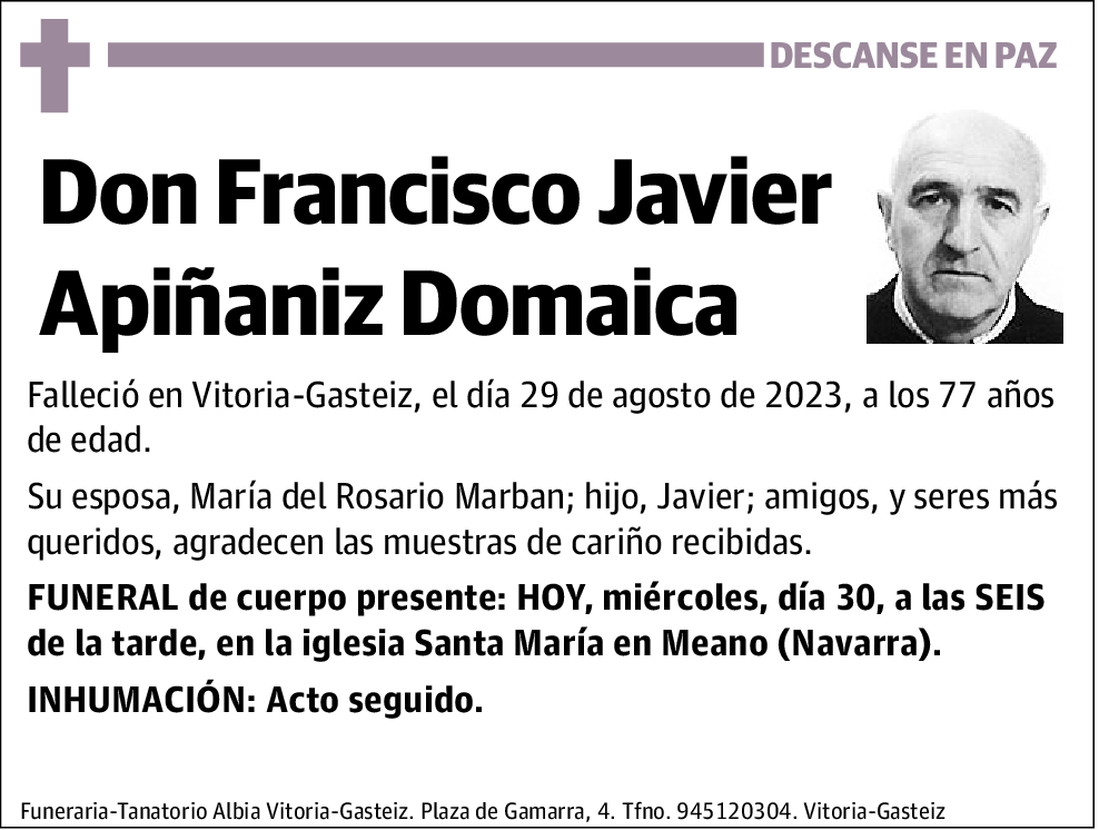 Francisco Javier Apiñaniz Domaica