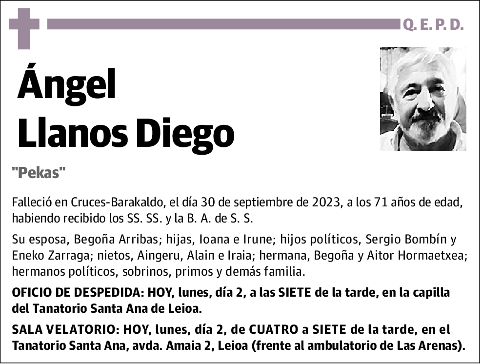 Ángel Llanos Diego