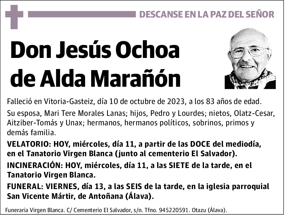 Jesús Ochoa de Alda Marañón