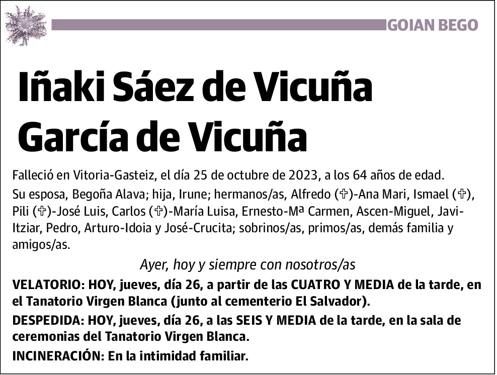 Iñaki Saez de Vicuña Garcia de Vicuña