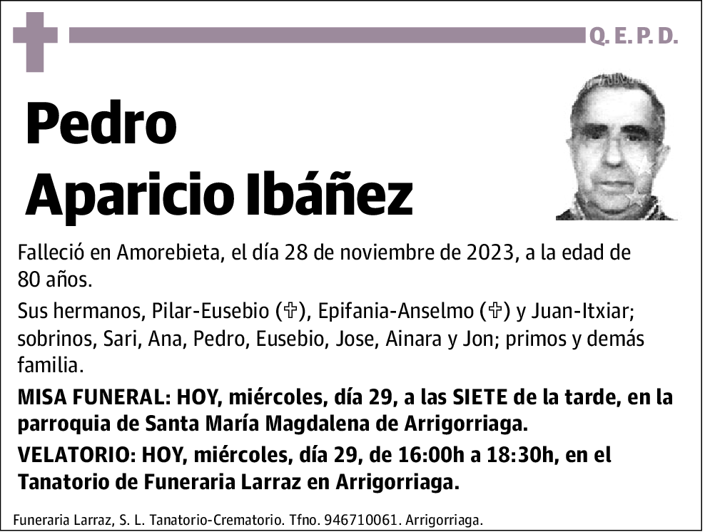 Pedro Aparicio Ibañez