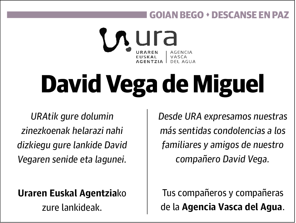 David Vega de Miguel