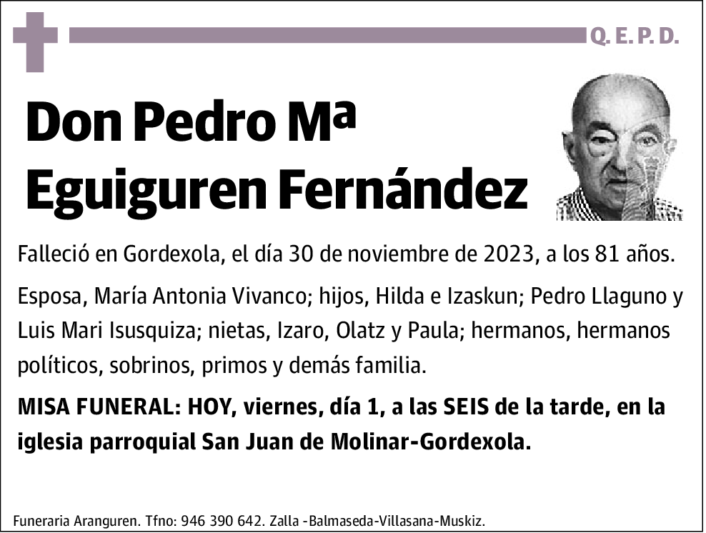 Pedro Mª Eguiguren Fernández