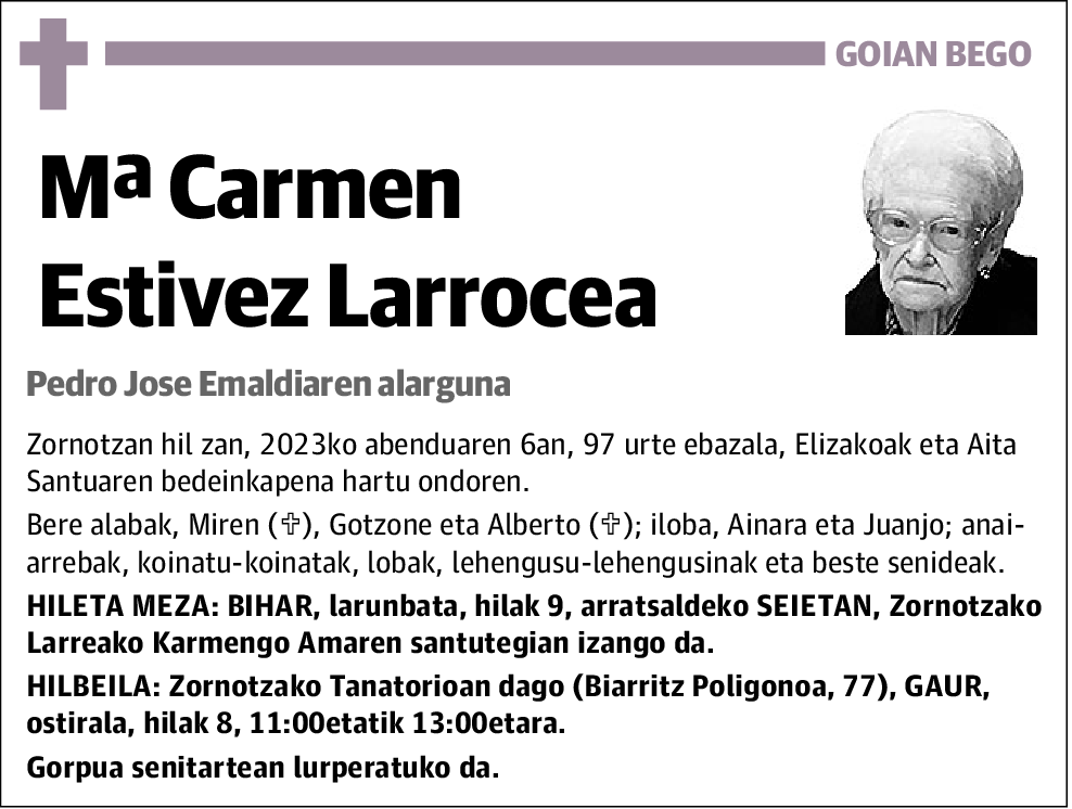 Mª Carmen Estivez Larrocea