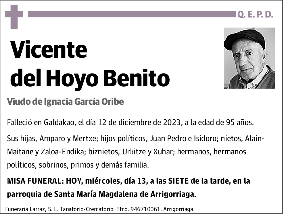 Vicente del Hoyo Benito