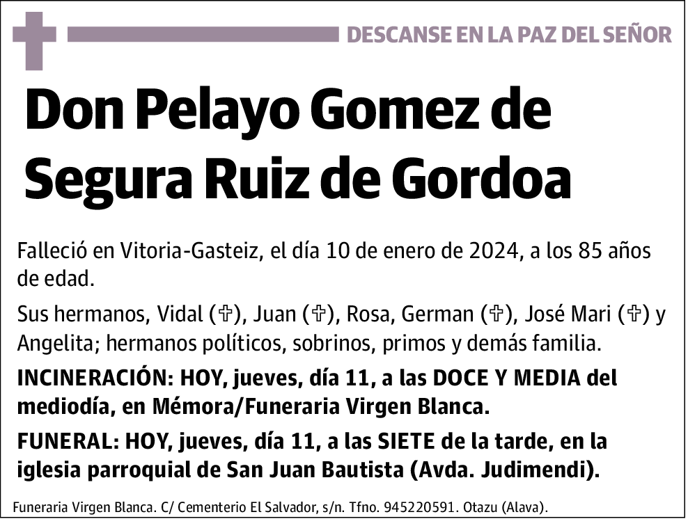Pelayo Gómez De Segura Ruiz De Gordoa