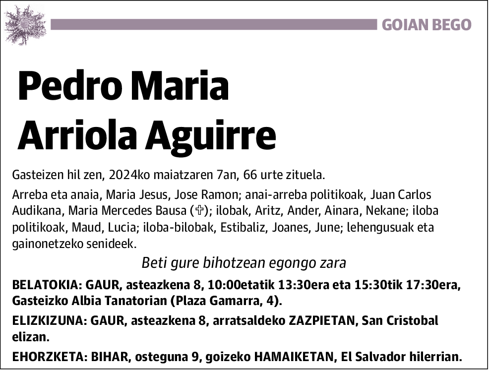 Pedro Mª Arriola Aguirre