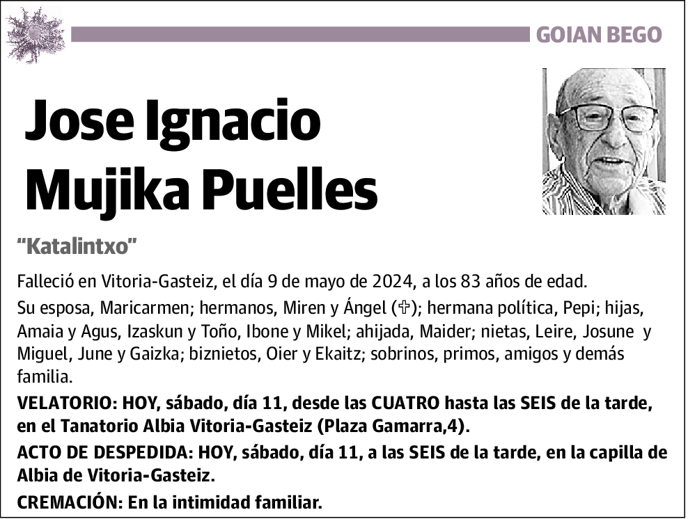 Jose Ignacio Mujika Puelles