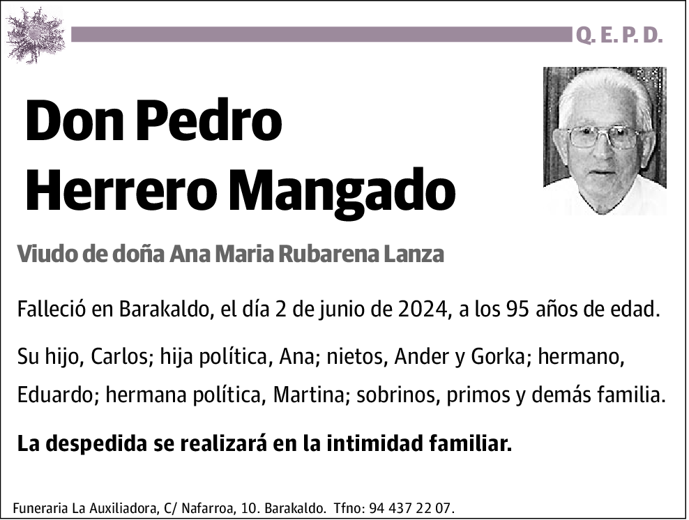 Pedro Herrero Mangado