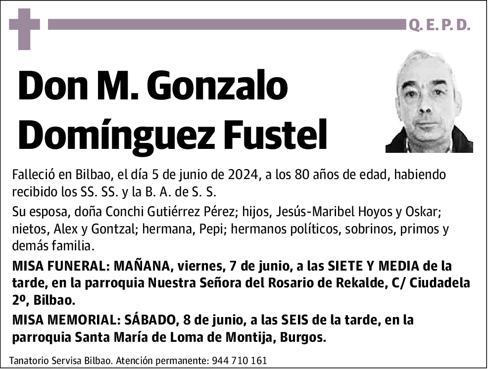 M. Gonzalo Domínguez Fustel