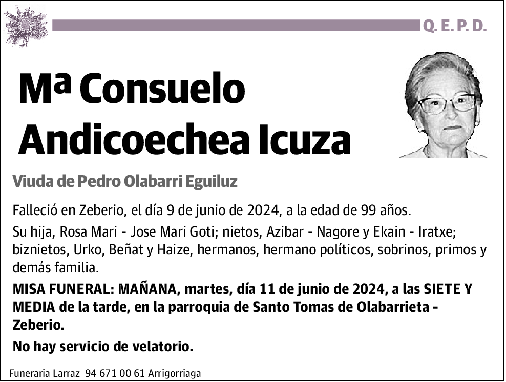 Mª Consuelo Andicoechea Icuza