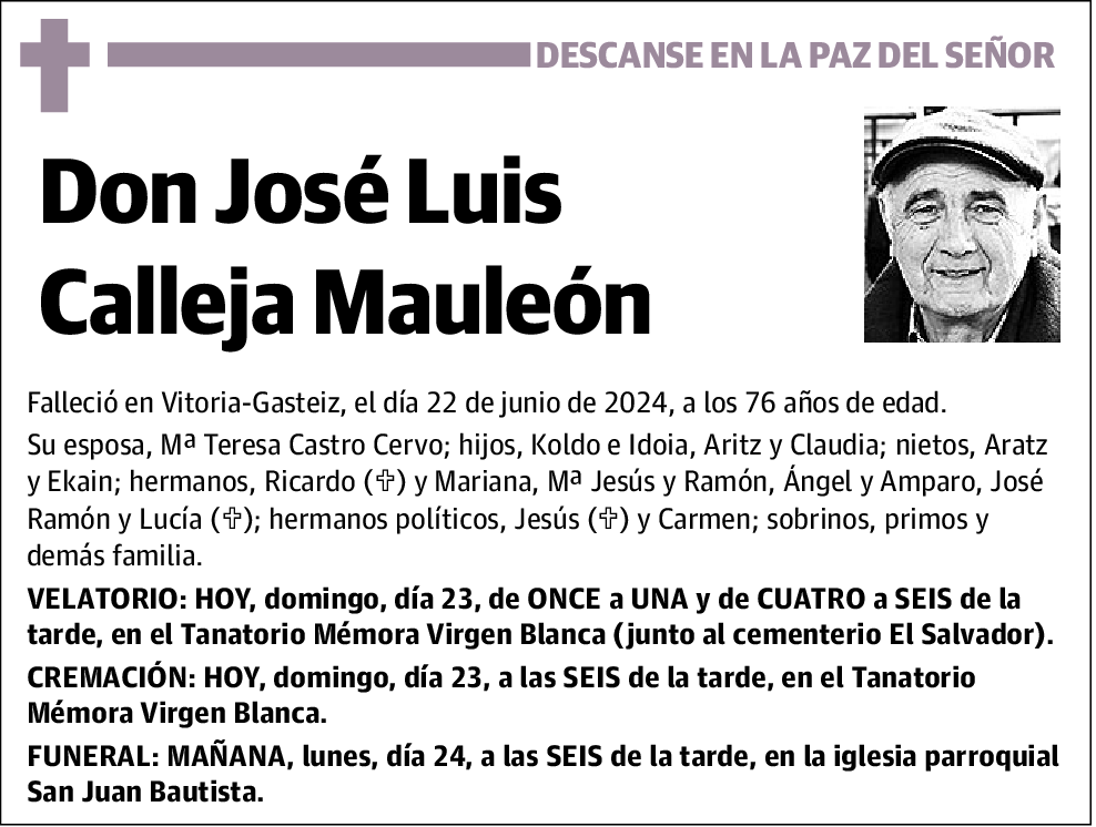 José Luis Calleja Mauleón