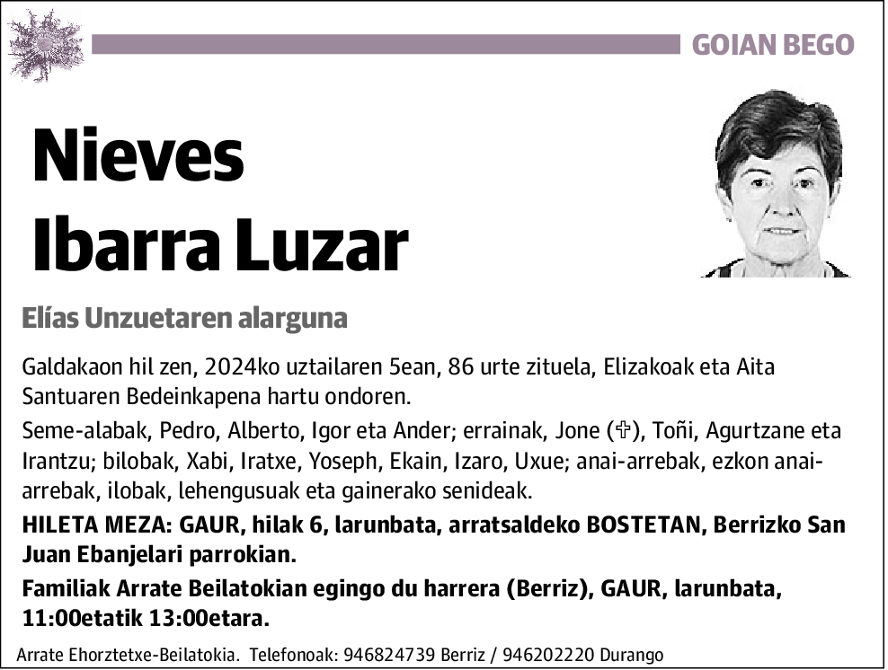 Nieves Ibarra Luzar