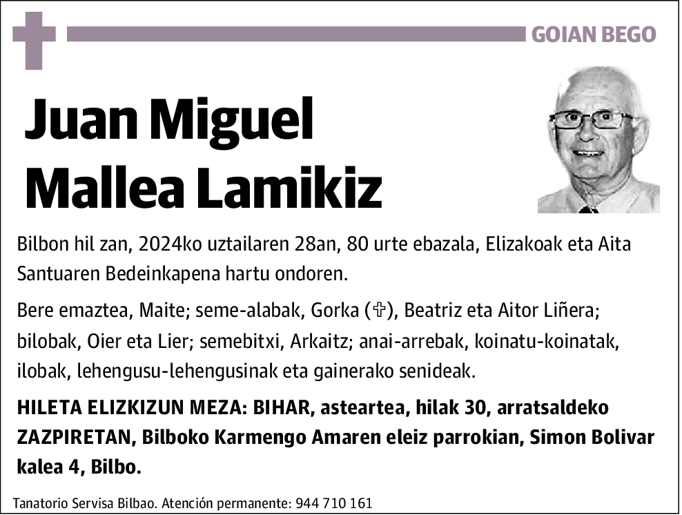 Juan Miguel Mallea Lamikiz