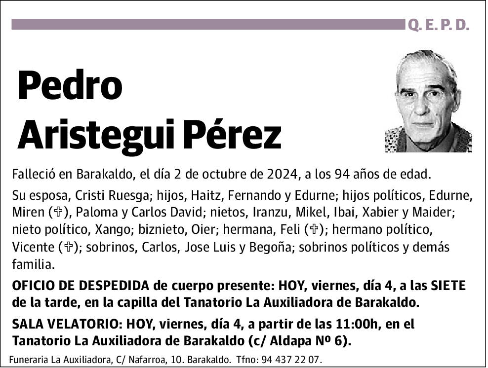 Pedro Aristegui Pérez