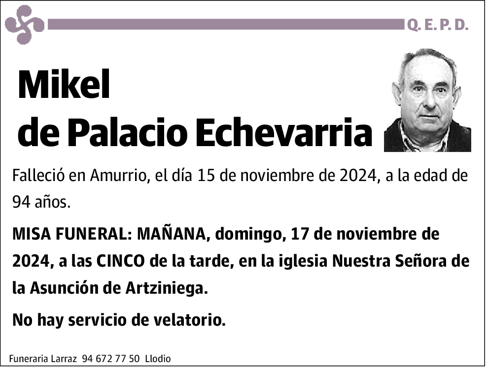 Mikel de Palacio Echevarria