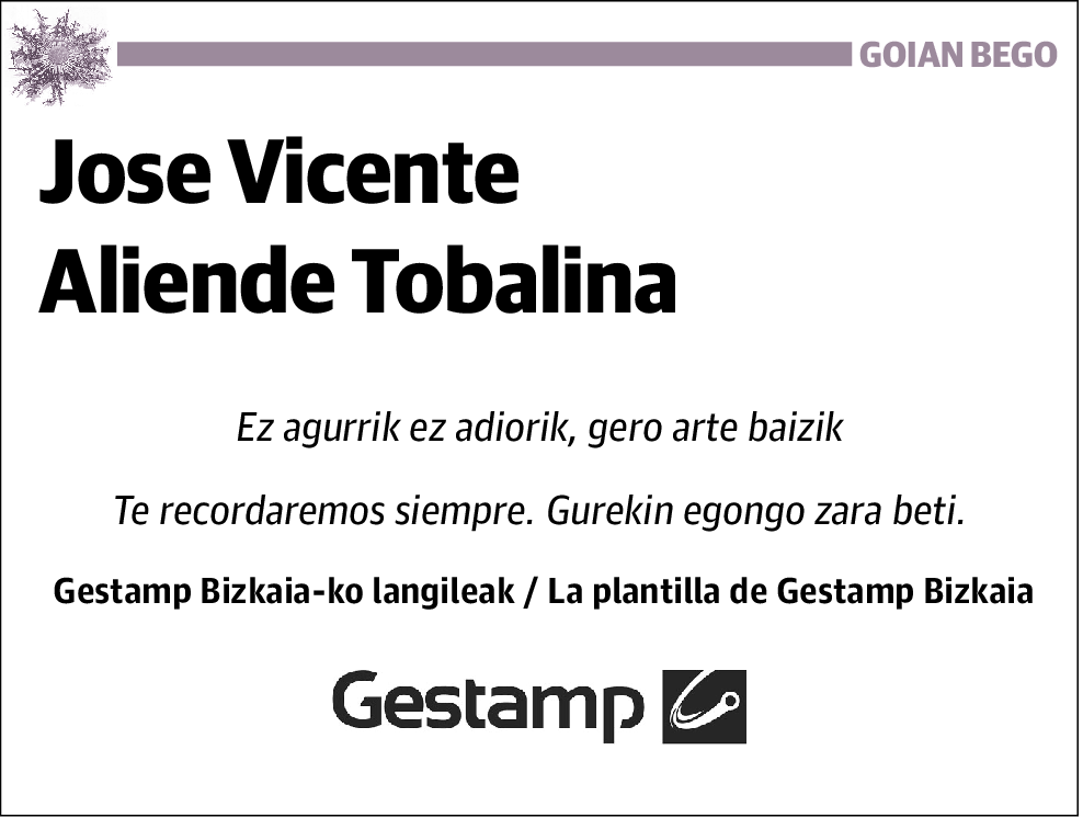 Jose Vicente Aliende Tobalina