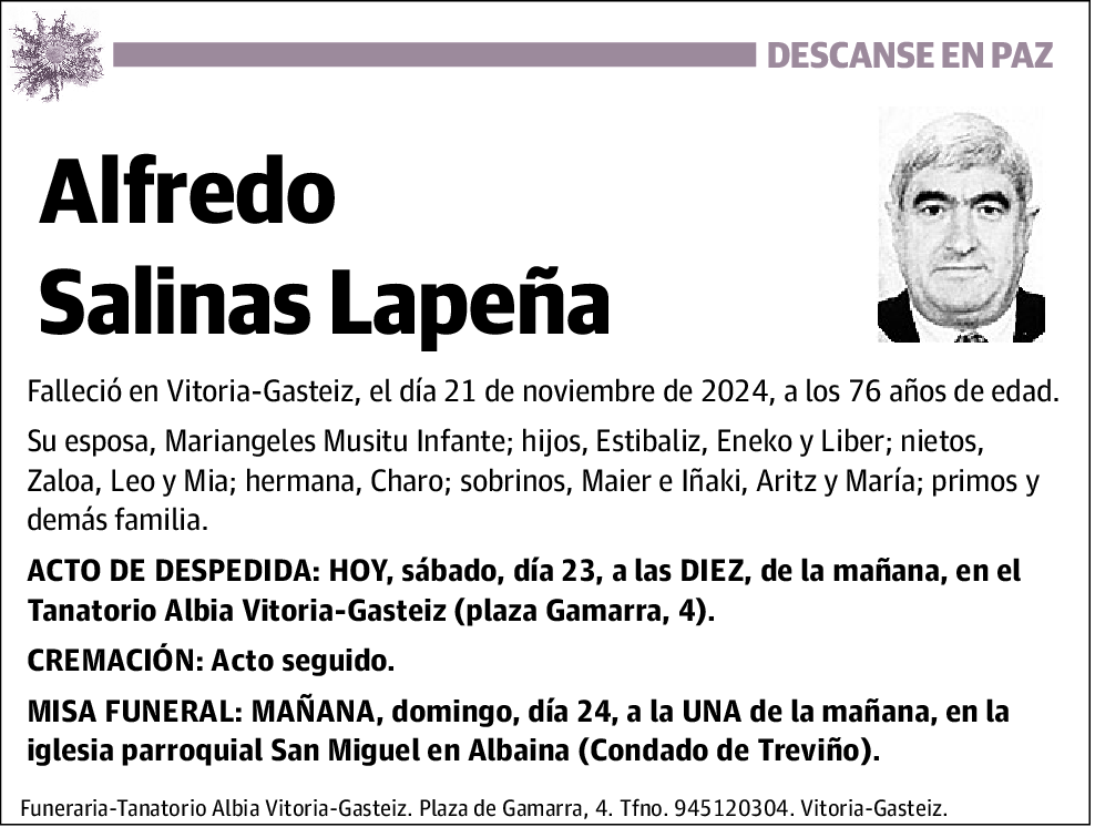 Alfredo Salinas Lapeña