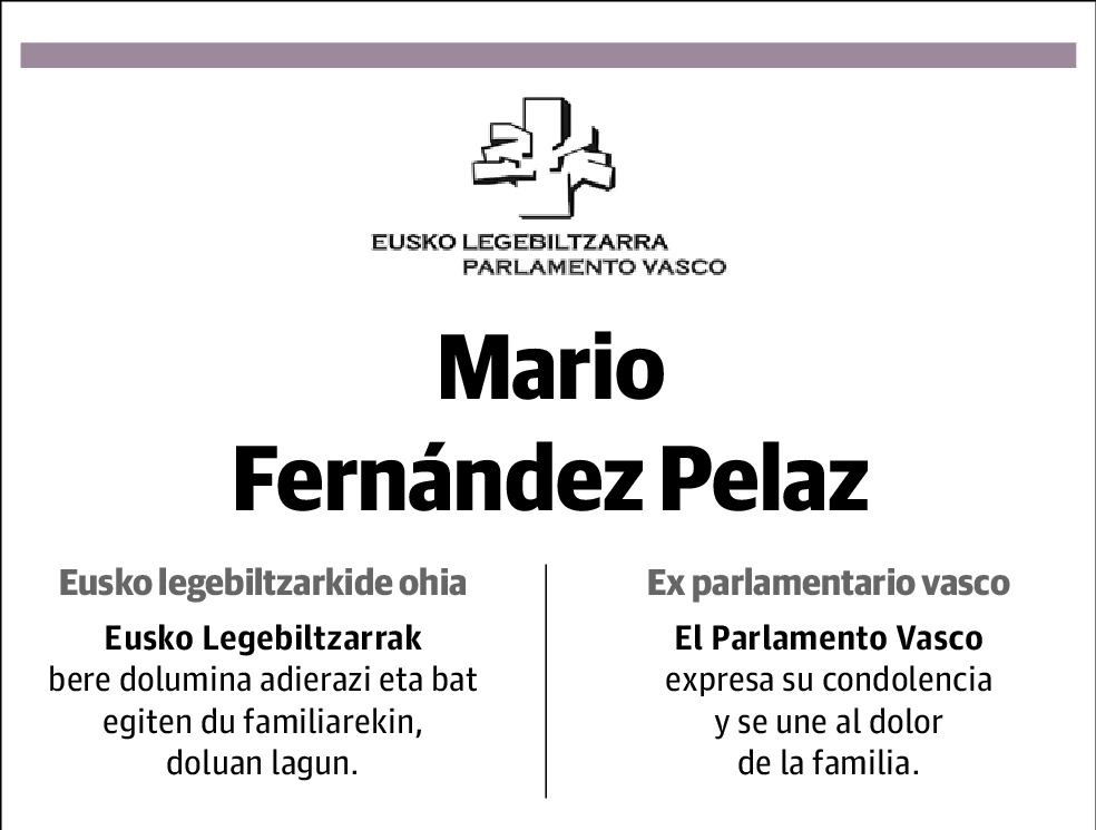 Mario Fernández Pelaz