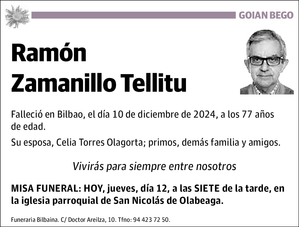 Ramón Zamanillo Tellitu