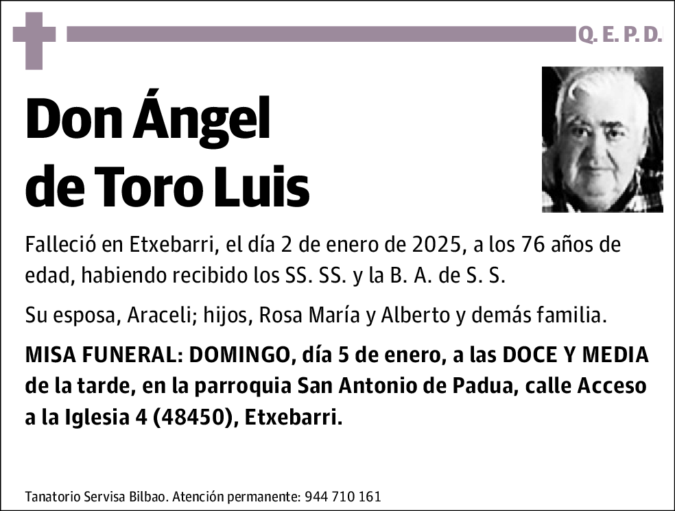 Ángel de Toro Luis