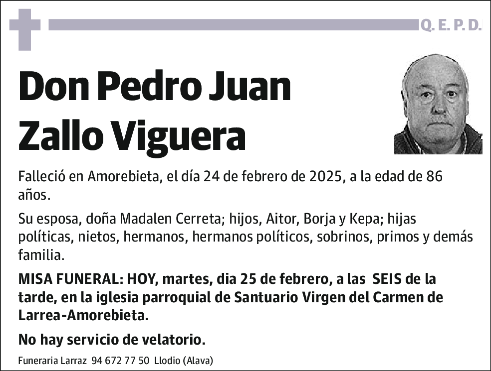 Juan Pedro Zallo Viguera