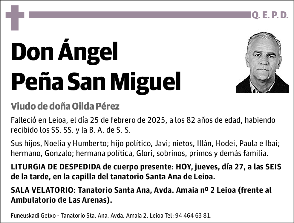 Angel Peña San Miguel