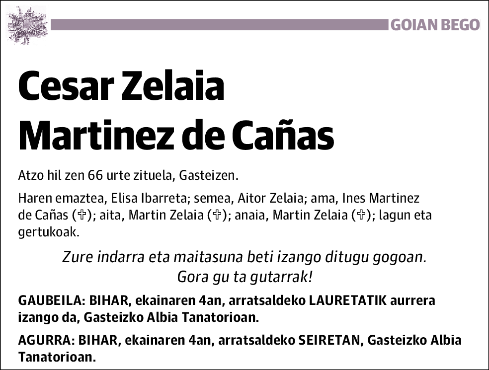 Cesar Zelaia Martinez de Cañas