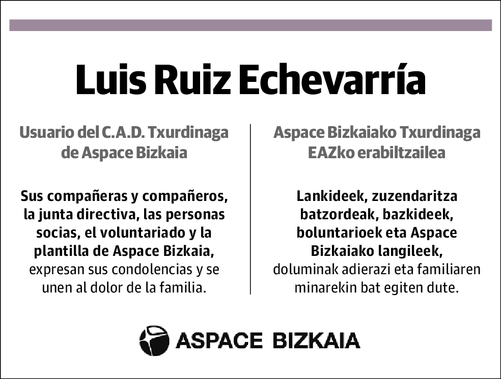 Luis Ruiz Echevarria