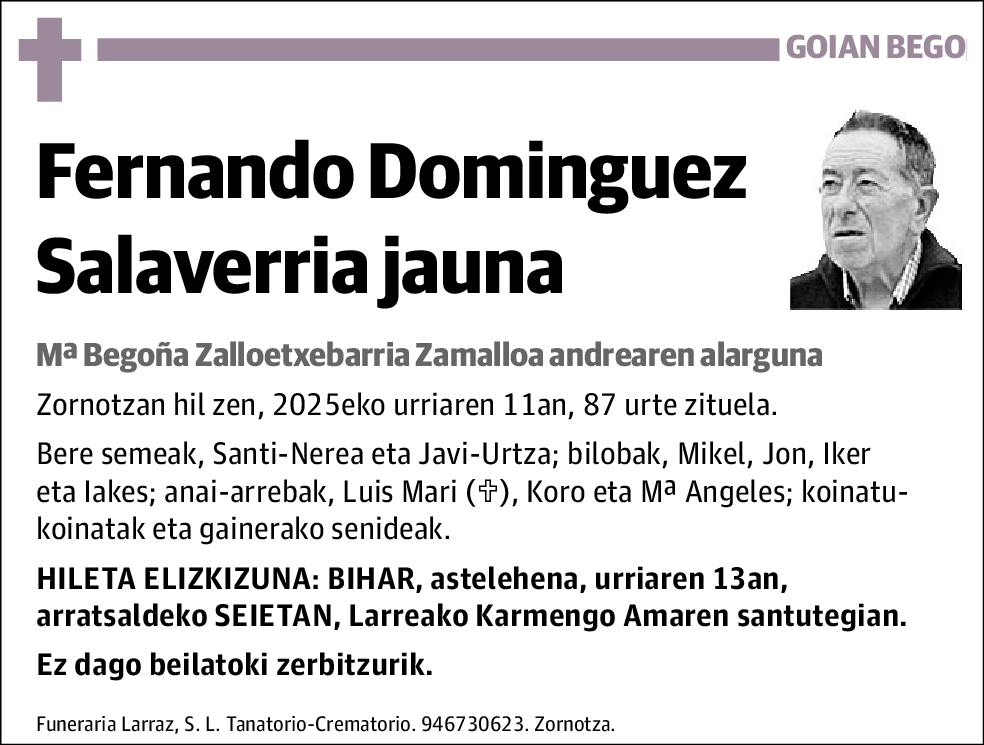 Fernando Dominguez Salaverria