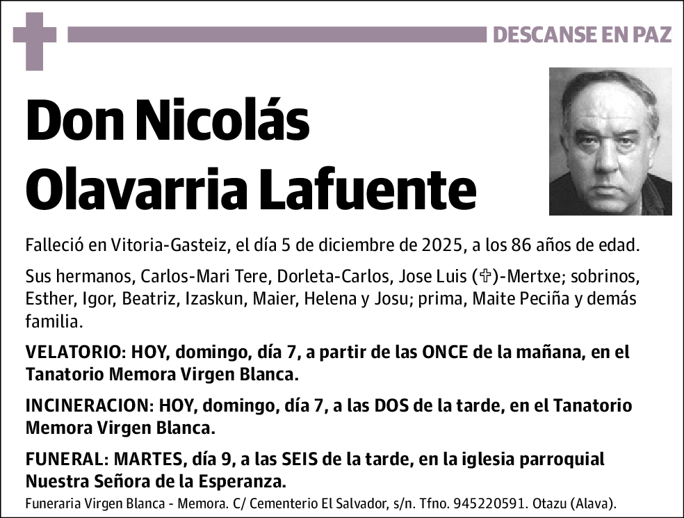 Nicolás Olavarria Lafuente