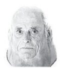Miguel Mier Aras