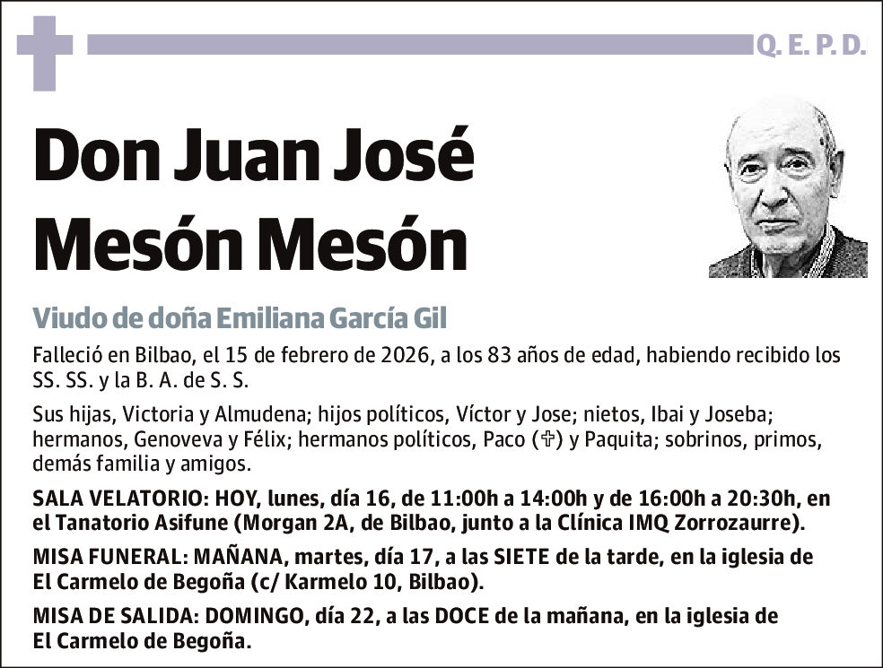 Juan José Mesón Mesón