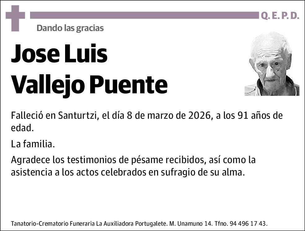 Jose Luis Vallejo Puente