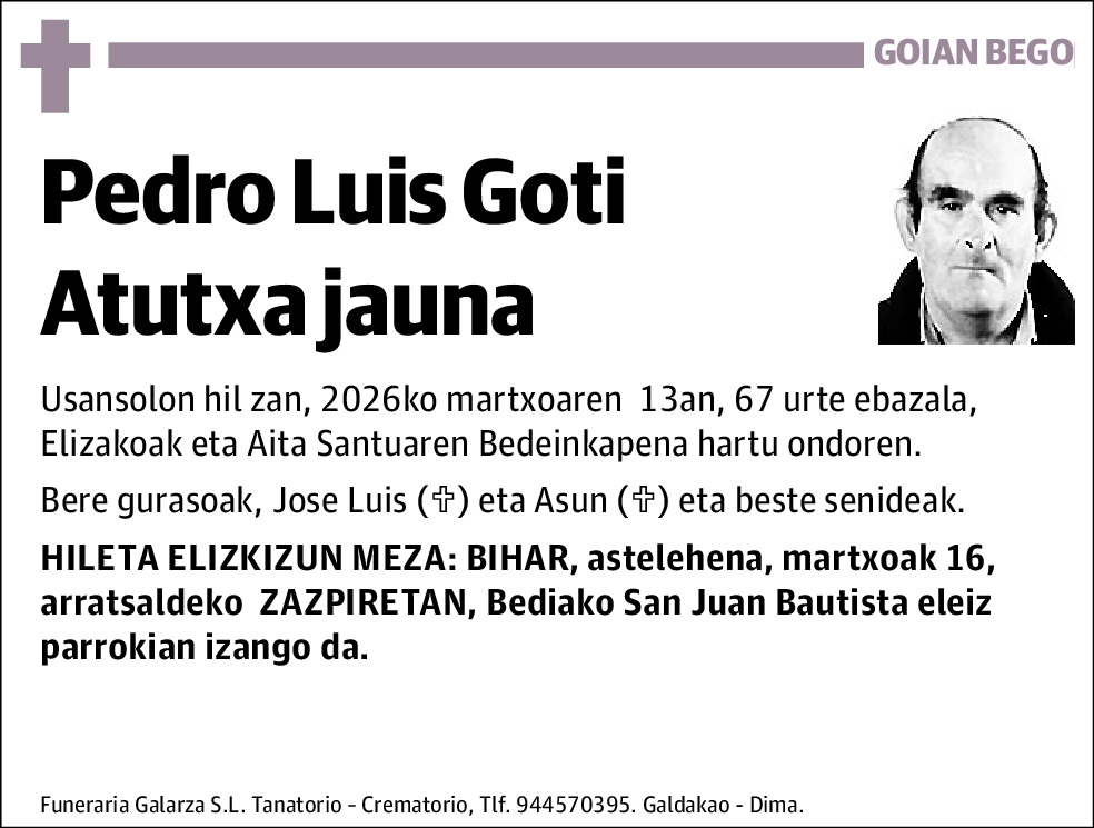 Pedro Luis Goti Atutxa