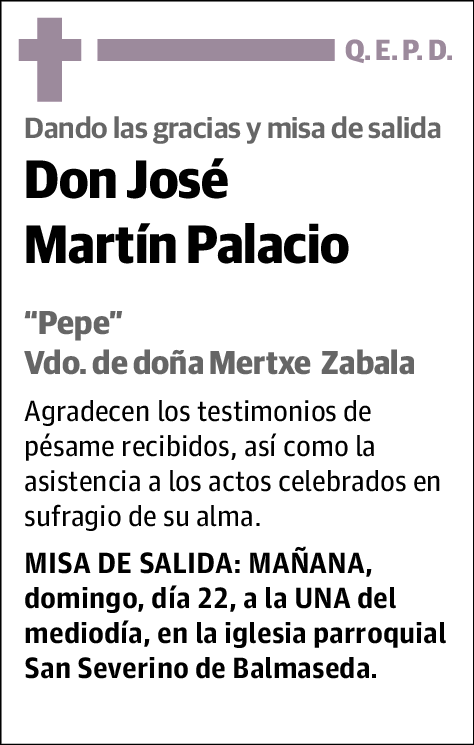 José Martín Palacio