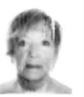 María del Carmen Argote López