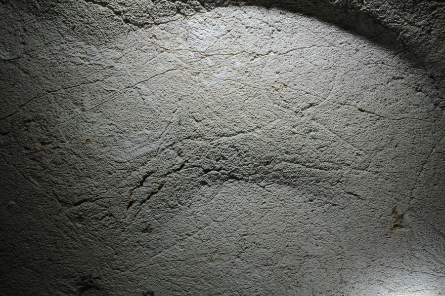 Nuevo hallazgo de arte rupestre paleolítico en la cueva de Erlaitz