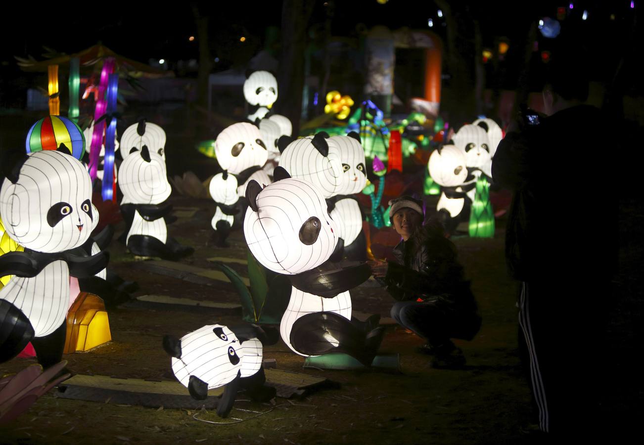 Luces mágicas iluminan Melbourne