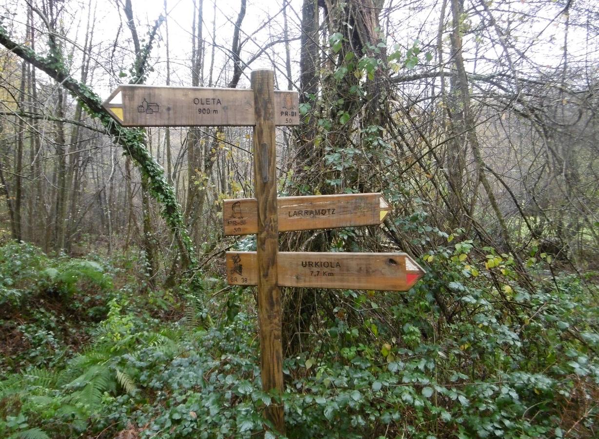 De Otxandio a Oleta por la calzada del hayedo de Illuntxo
