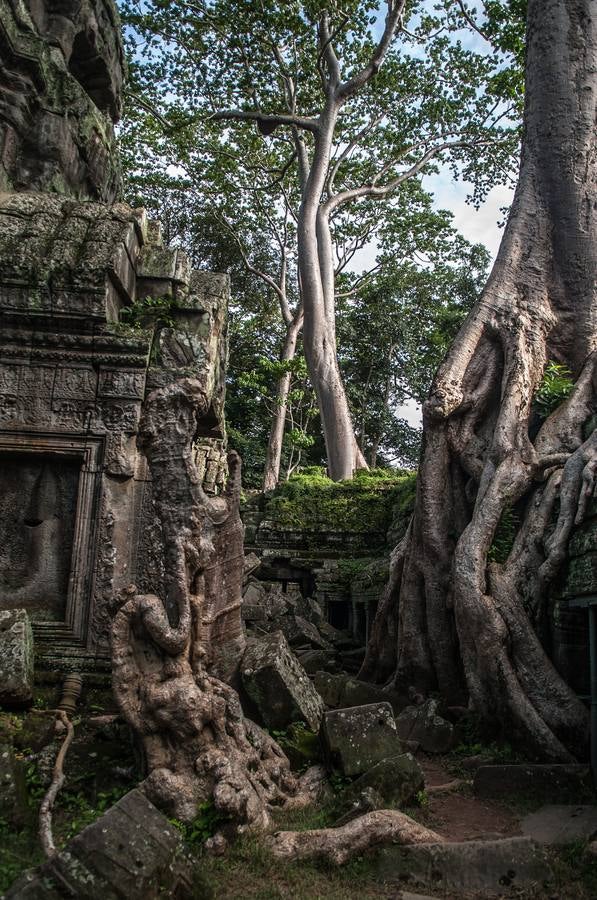 Un reino de pesadilla