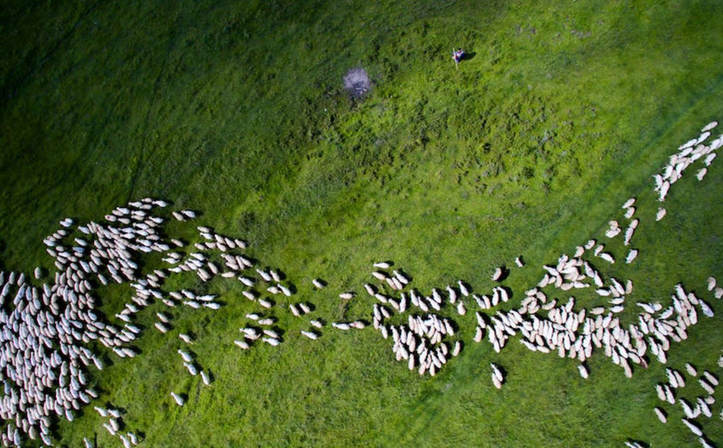 Las mejores fotos tomadas por drones