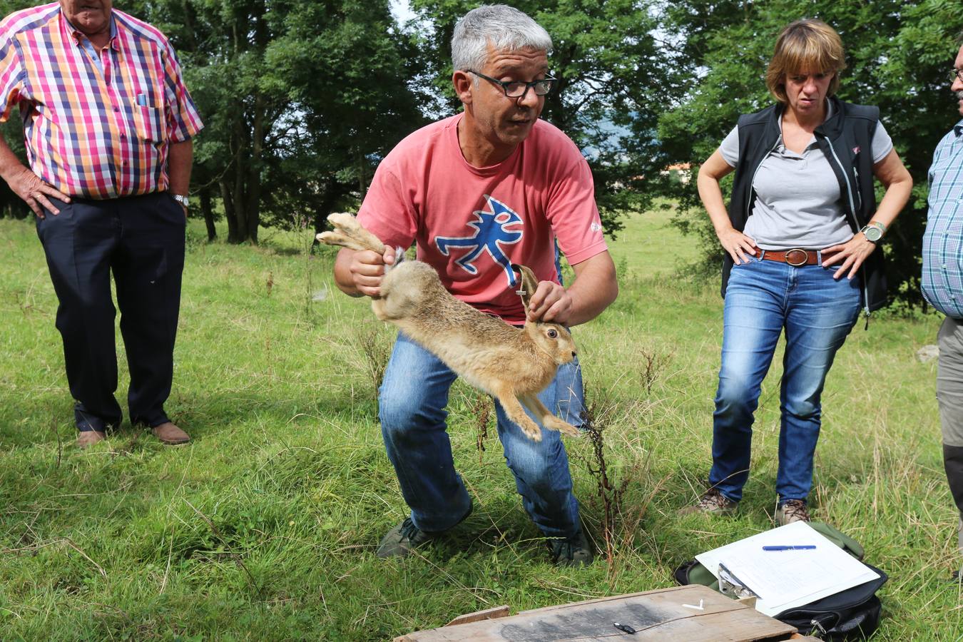 La Diputación suelta 15 liebres europeas para contribuir a la recuperación de la especie en Bizkaia