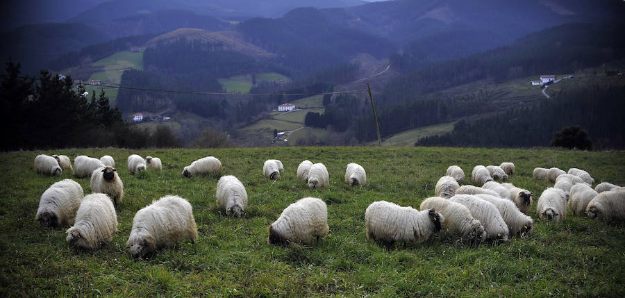 Un paseo por Munitibar