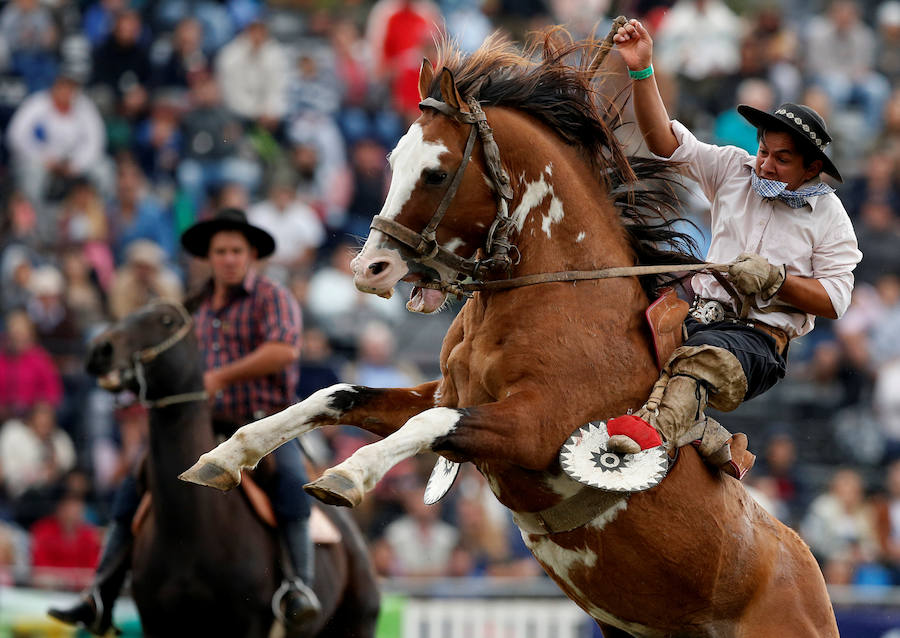 Los saltos a caballo más espectaculares de Montevideo