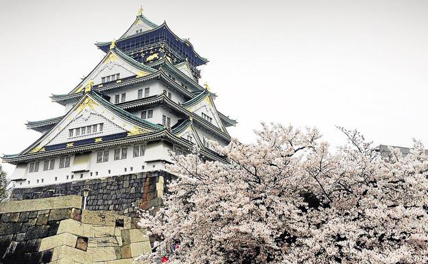 Todo lo que debes saber si quieres viajar a Japón